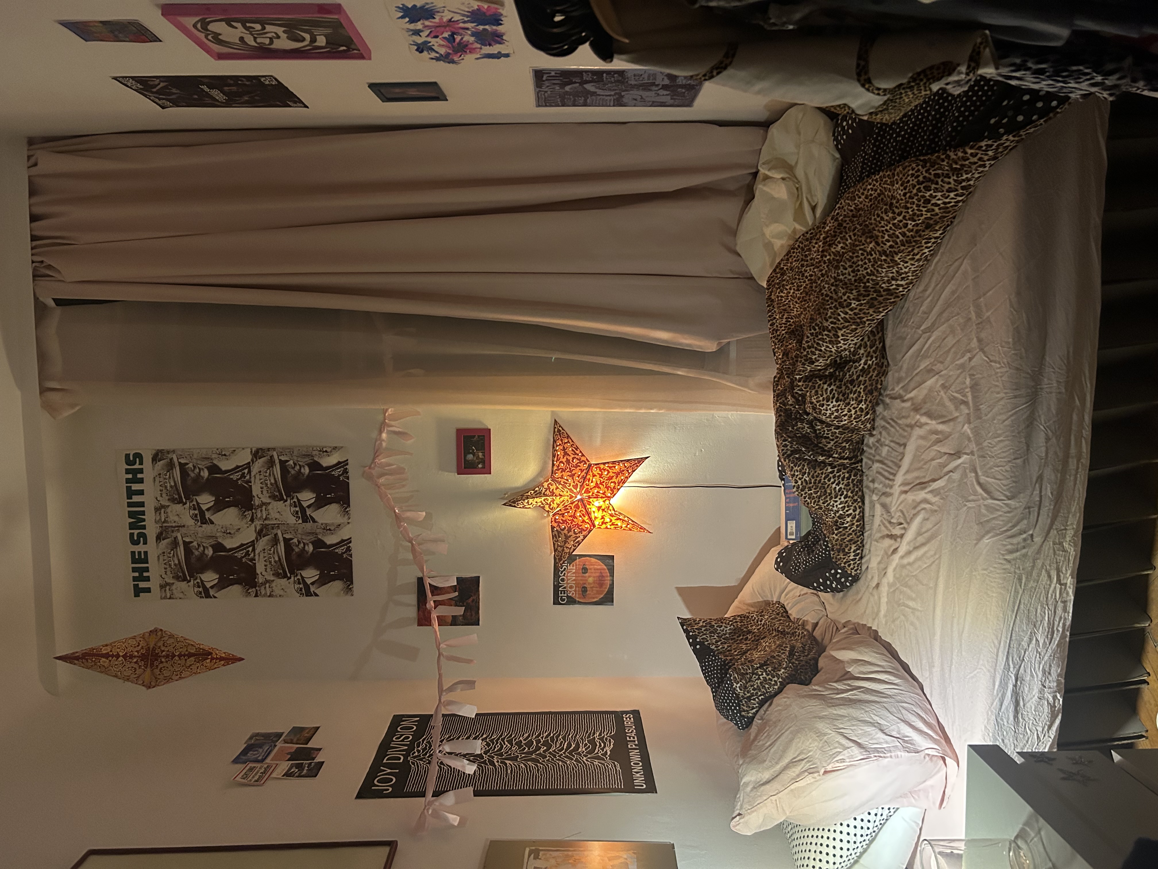 cozy room in a fun flatshare